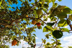 Villa Nuvole Bianche con Piscina by Wonderful Italy
