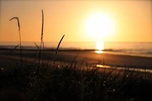 Maisons de vacances Maison front de mer - plage du debarquement : photos des chambres