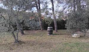 fleur de gaïa chambres dhôtes