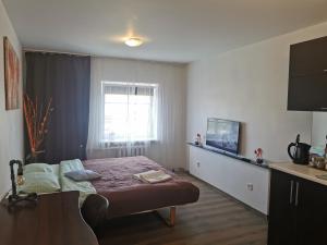 Z17 River apartment studio