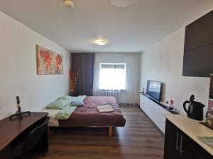 Z17 River apartment studio