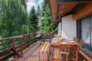 Grand appartement vue Montagne plein sud grand garage sur demande