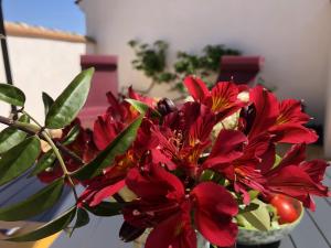 Maisons de vacances Gites La Catalane : photos des chambres