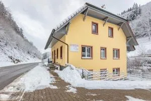 Haus Belchenwiese - 诺恩威格