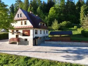 Gościniec Stara Szkoła - Hałuszowa