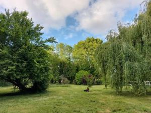 Villas Clos des Loriots : photos des chambres