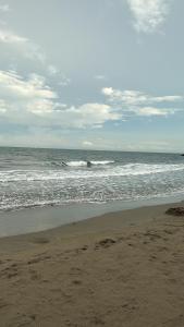 Playa y selva