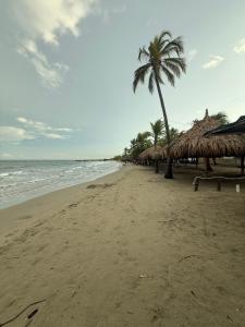 Playa y selva