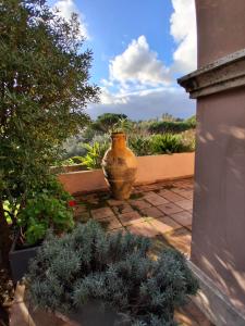 The Olive Grove Roma Guest House