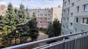 Lovely apartment in a quiet area