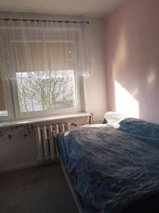 Lovely apartment in a quiet area