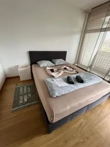 Business Lodge Bern - 伯尔尼