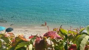 La Conchiglia - Cavoli