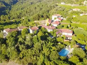 Quinta de Ribas - Padronelo