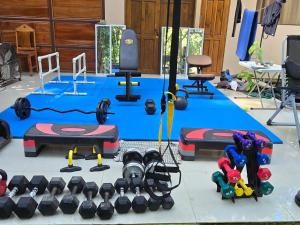 Cool Waters Jungle Hostel