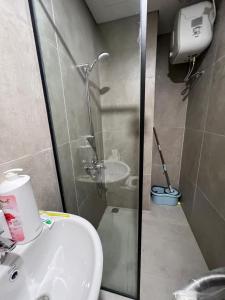 Alexa Meisterstadt pollux habibie