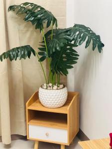 Cozy Suite near Mall of Asia