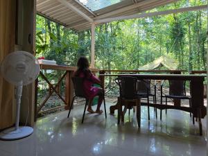 Cool Waters Jungle Hostel