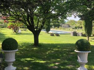 Très beau mas à Bonnieux