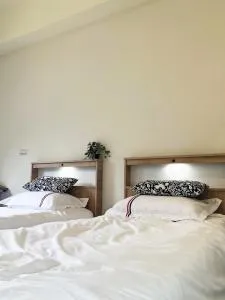 散步的喵 - Pang-lin