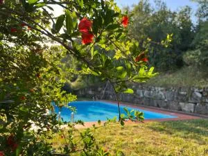 La Melagrana - La Strada