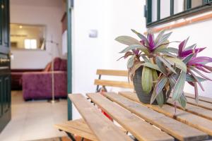 Apartamentos TrianaSol