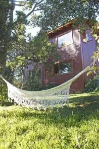 De luz, flores y montaña - Puerto Huemul