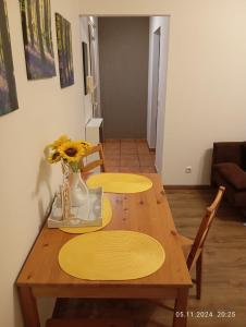 gemüthliche 2 Zimmer - Wohnung 2-3 Schlafplätze