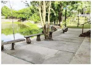 Chácara Tamarineiro - Mata