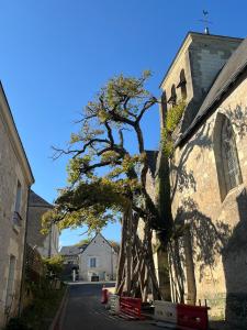 Appartements L-armurerie proche Islette et Azay le Rideau : photos des chambres