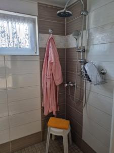 Ferienhaus in Thüringen Nähe Hohenwarte Stausee