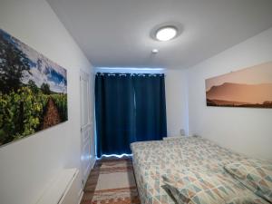 Appartements Horizons Verts Appartement Cerisier : photos des chambres