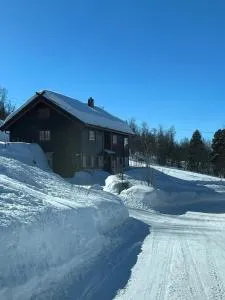 Spacious cabin with beautiful Geilo views - Lii