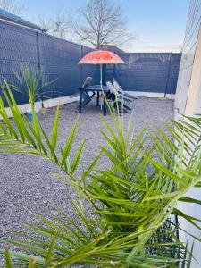 Appartements T3 Ancenis Saint Gereon : Appartement