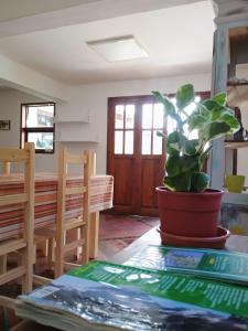 "La casa de Ona" Hostel Boutique