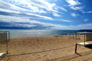 Aria Ocean Flamingos