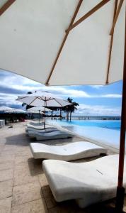 Aria Ocean Flamingos