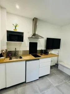 Luxury Appartement - 塞夫朗