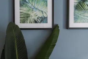 ComfySleep Apartments - Tollcross