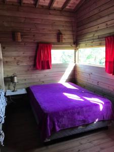 Cabanas no meio a Natureza