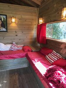 Cabanas no meio a Natureza