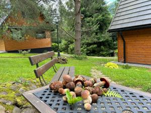 Reset Bieszczady