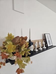 Appartamento 2 poggioli