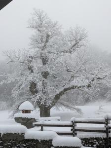 Maison au coeur de la forêt dans le Sidobre - GR36