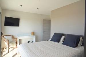 Villas Belle maison avec piscine a debordement chauffee : photos des chambres