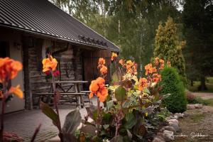 Saunamaja koos loung ruumi ja soome saunaga