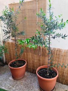 Stately central apartment