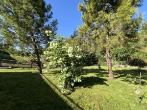 Maisons d'hotes Vallee Verte Morancez : photos des chambres