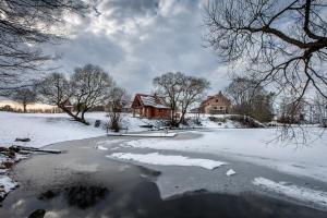 Cabană Vila Sveika Ubi&scaron;kės Lituania