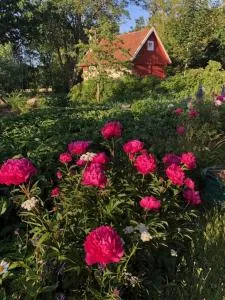 Naturnära på Ängaröds 1700-tals gård - Billinge